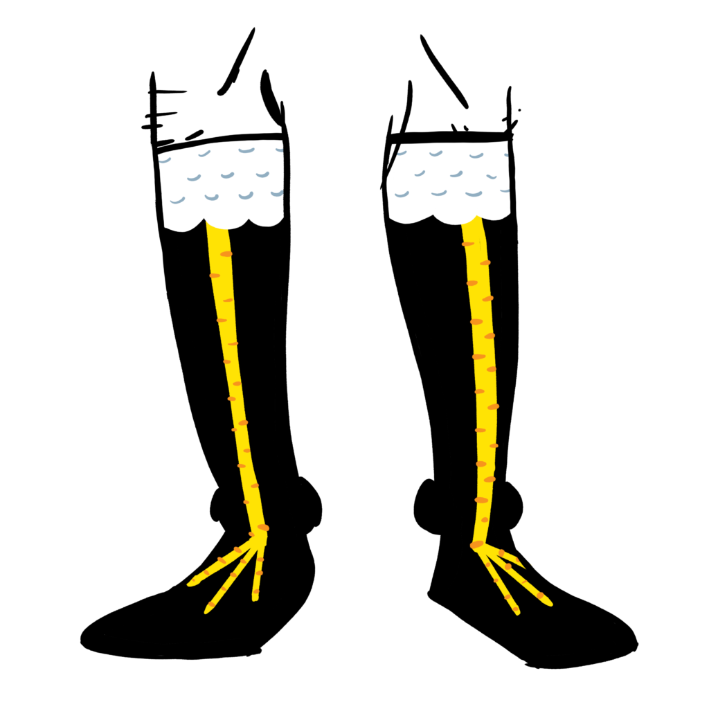 Black knee high socks. The tops have white feathers and the yellow chicken legs go down the shins.