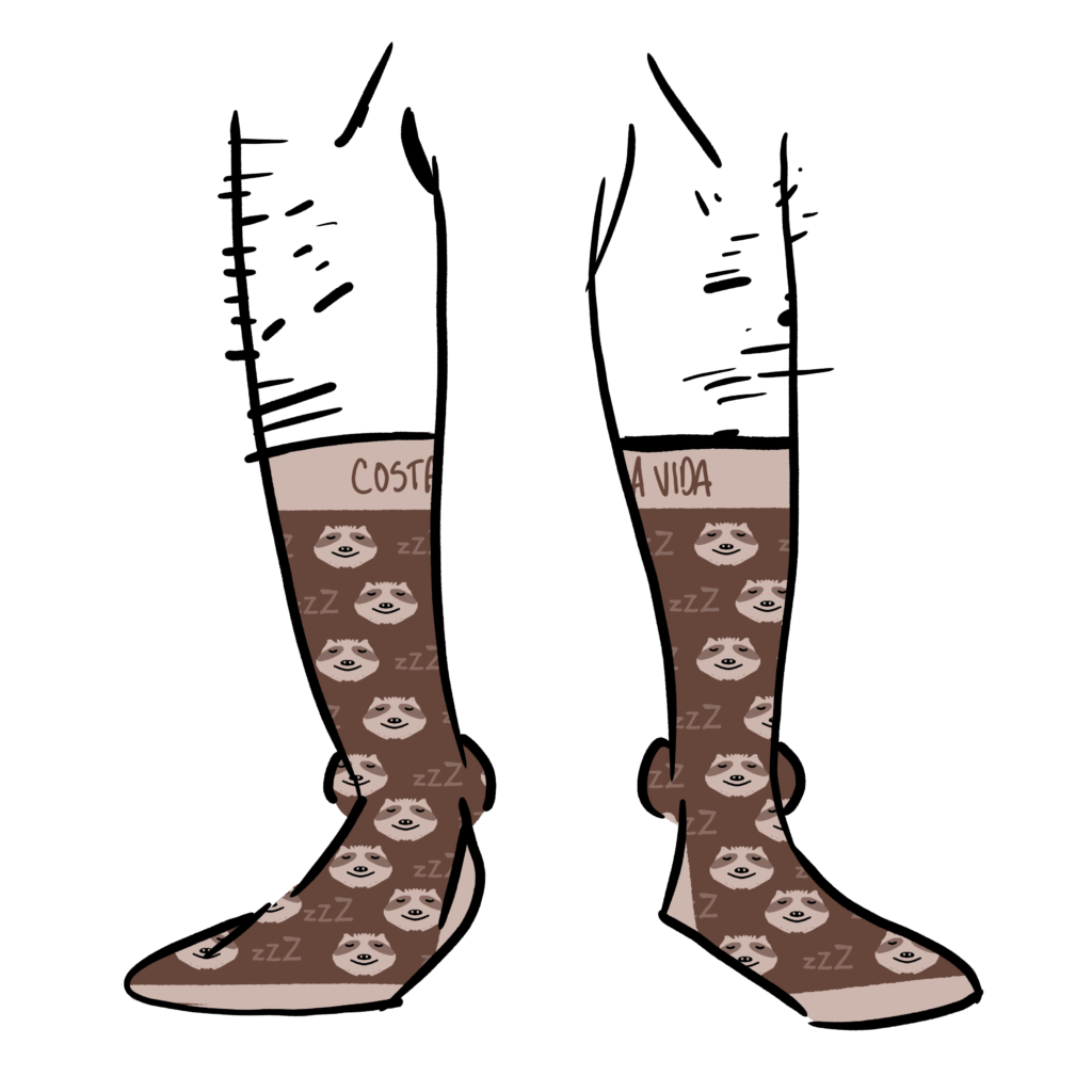 Socks with sloth heads and zzz's on them.